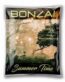 BONZAI Summer Boost Herbal Incense