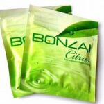 Buy BONZAI Citrus Online