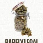 Buy Barely Legal Online